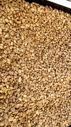 محامص ومطاحن فنجان الشموخ فرع الراكه - الخبر