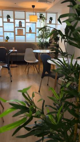 شارع عبدالله الشربتلي، الصفا،، الصفا، جدة 23451،، جدة 21212