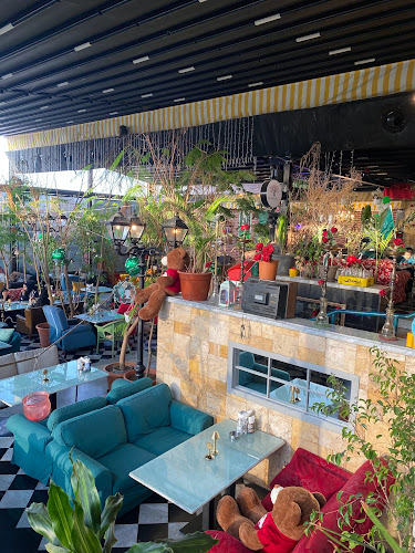 Comentarii opinii despre زيتونة باي