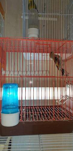 مستشار المزارع للزراعة - المزاحمية