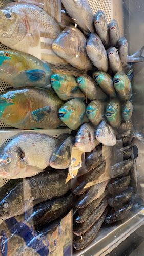 أسماك المينا جده - جدة