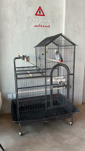 Comentarii opinii despre Caseco Cafe | كاسيكو كافيه