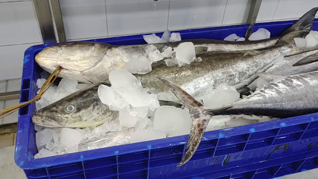 مطعم ماجد تبوك