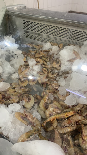 اسماك باب البحر