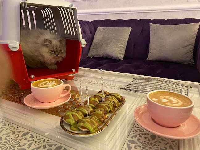 Q CAFE - الضيافة