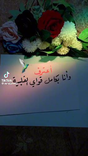 ملا نيازي، الصفا، جدة 00966