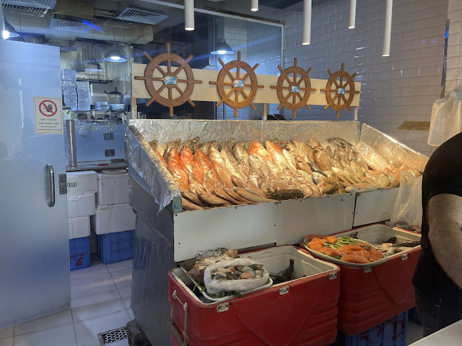 أسماك نوارة الإسكندرية - الضيافة