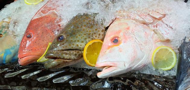 8806 خالد بن قيس السهمي، الوبرة، المدينة المنورة 42371