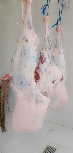 ملحمه مكه القيصومه - القيصومة