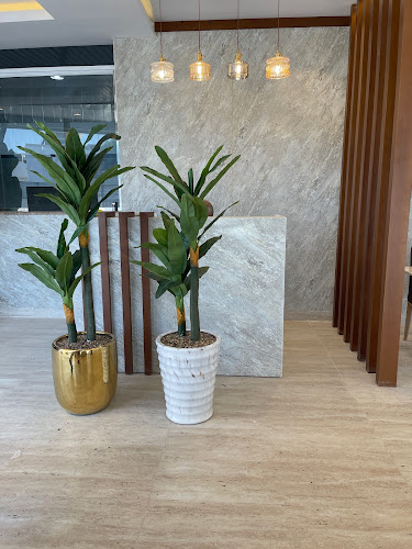 Comentarii opinii despre مطعم المنسف الأردني