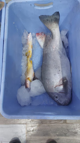 الراجحي، الصالحية، تبوك 47913