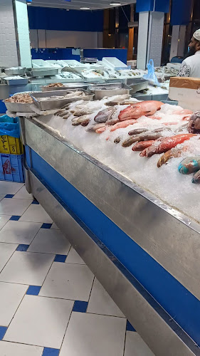 Comentarii opinii despre سوق السمك الجديد حي المربع(محار)