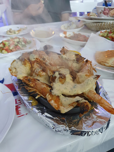 أسماك نوارة الإسكندرية - الضيافة