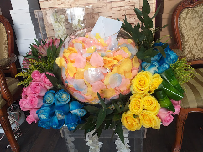 Opinii despre كون روز în المدينة المنورة - الضيافة