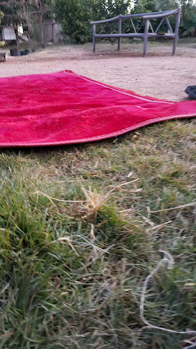 Comentarii opinii despre حايل