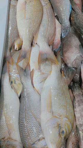 Comentarii opinii despre بيت البركة للأسماك