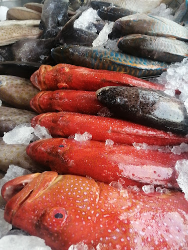 اسماك بحار غران 2 - الضيافة