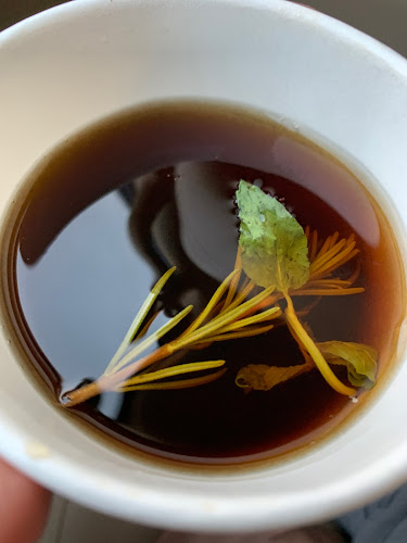 Comentarii opinii despre تلقيمة كيف