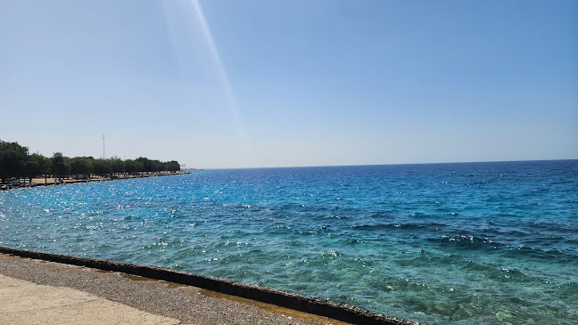 Comentarii opinii despre The blue beach