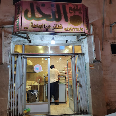 ينبع النخل فطير حي الجامعة حاليا في الصفا