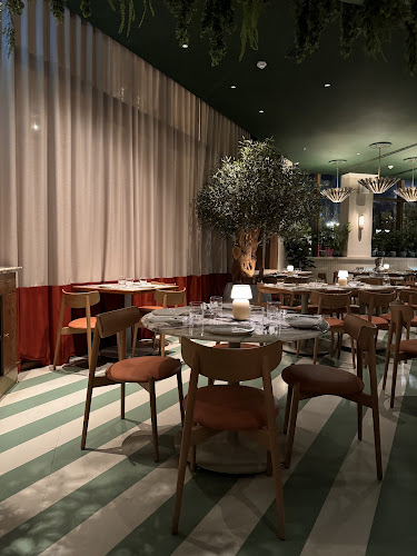 دلفينو - الرياض