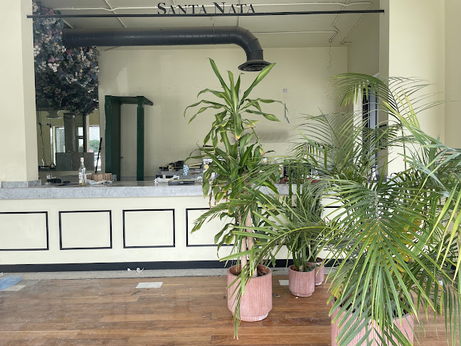 سانتا ناتا - الرياض