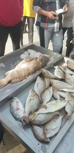 Opinii despre محل بدر عبد الروؤف المطرود în القطيف‎ - الضيافة