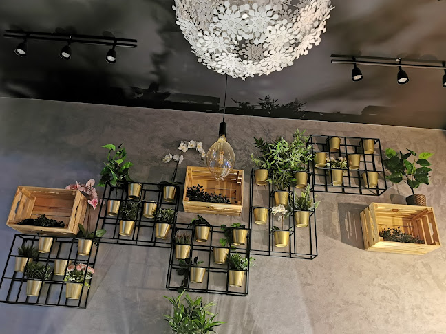 Comentarii opinii despre براوني كريب