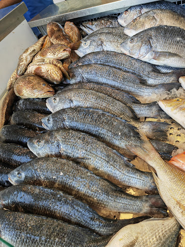 Opinii despre ميدار الرياض للأكلات البحرية الخليجية în الرياض - الضيافة