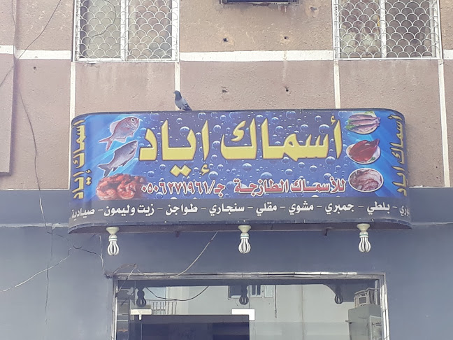 أسماك إياد - المدينة المنورة