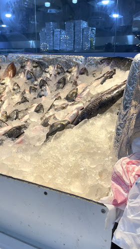 Comentarii opinii despre أسماك نوارة الإسكندرية