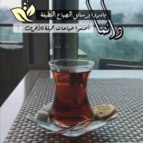 3473 شارع الأمير محمد بن عبد العزيز، جازان 82812 6984،، جازان 82812