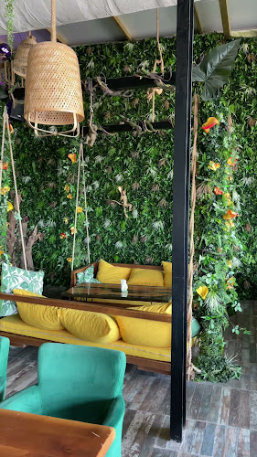 Comentarii opinii despre the Monkey's Lounge