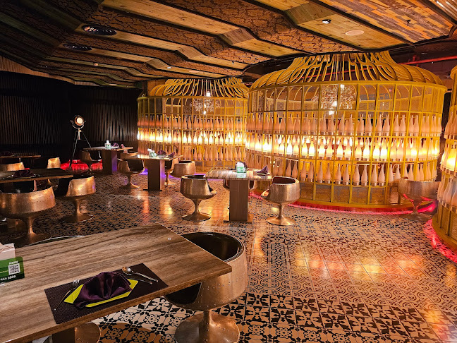 بيسترو شينو - الضيافة