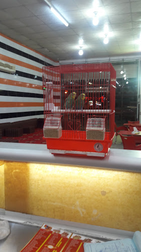 مطعم أسيل - الضيافة