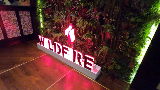 وايلد فاير - الرياض