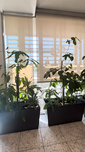 Comentarii opinii despre فنون المدفون