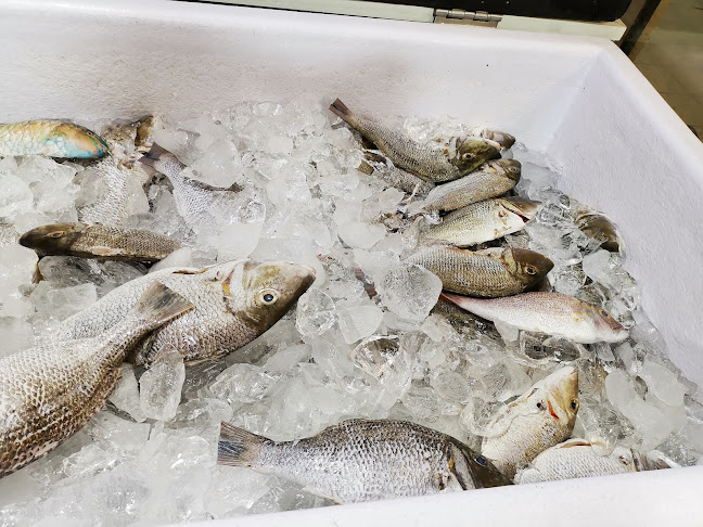 مطاعم الشيخ فهد عيد المزين للأسماك - شوران