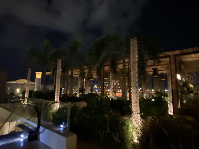 Comentarii opinii despre ميموزا