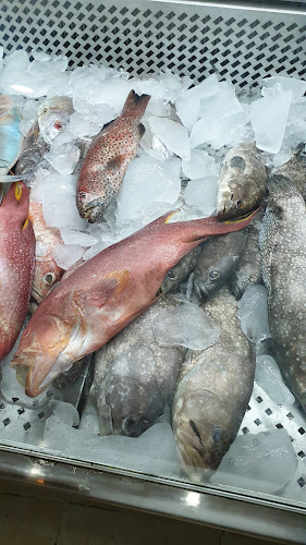 Comentarii opinii despre مطعم اسماك المينا