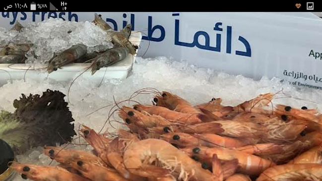 سمك - الضيافة