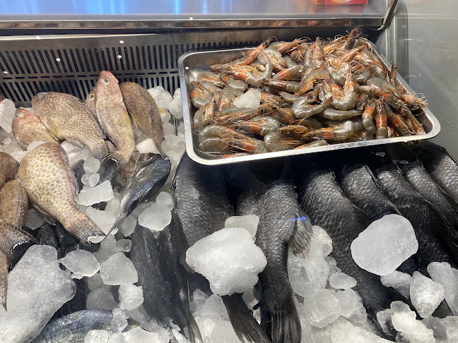 Comentarii opinii despre وليمة سمك للمأكولات البحرية