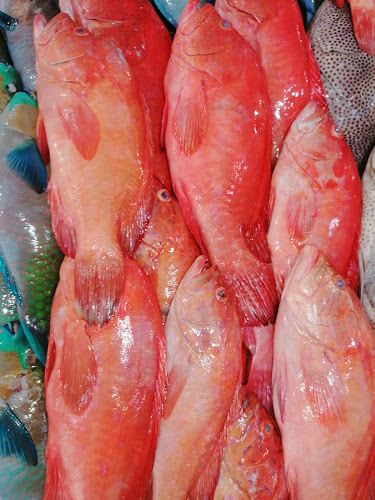 Opinii despre مطعم اسماك ابو حمزه în تبوك - الضيافة