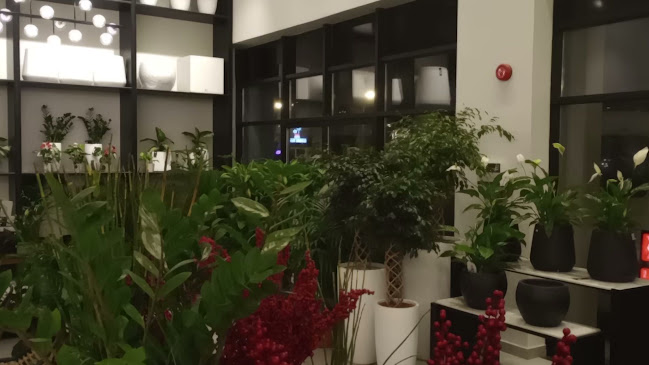 نباتات - الدمام