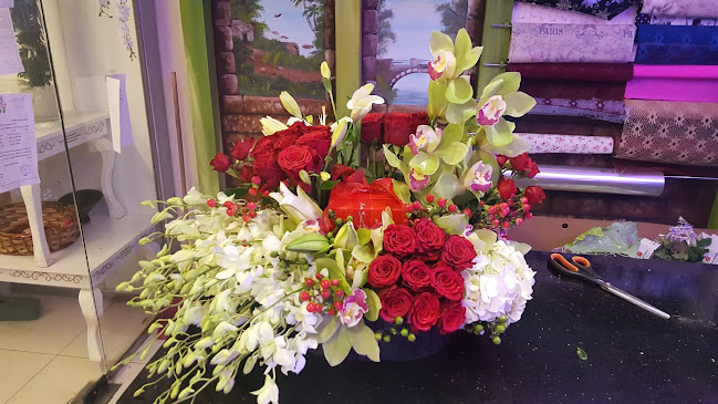 Comentarii opinii despre كون روز