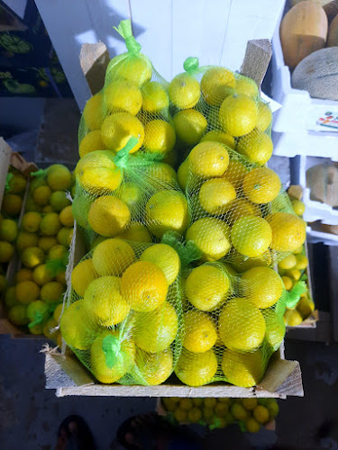 Comentarii opinii despre Fayd al karam