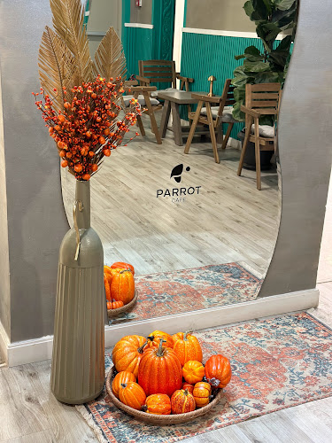 Comentarii opinii despre باروت - PARROT CAFE