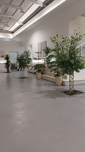 مطاعم شوّاح - النخيل - الضيافة