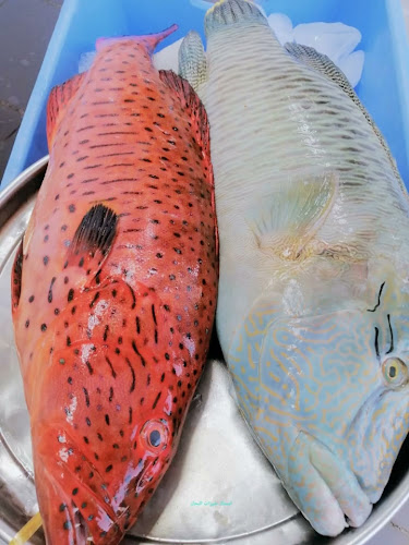 بيت البركة للأسماك - الضيافة