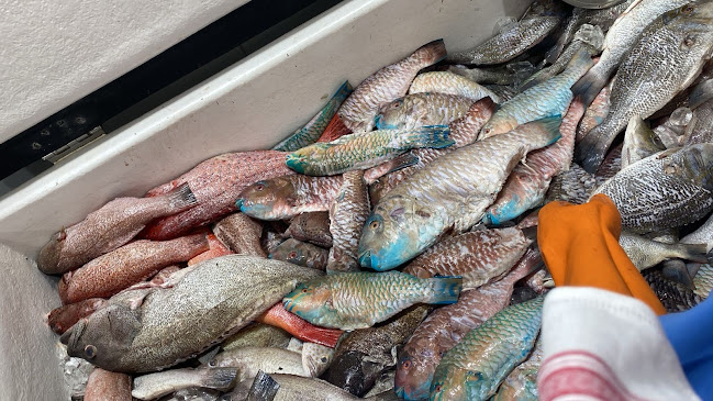 مطاعم الشيخ فهد عيد المزين للأسماك - شوران - الضيافة